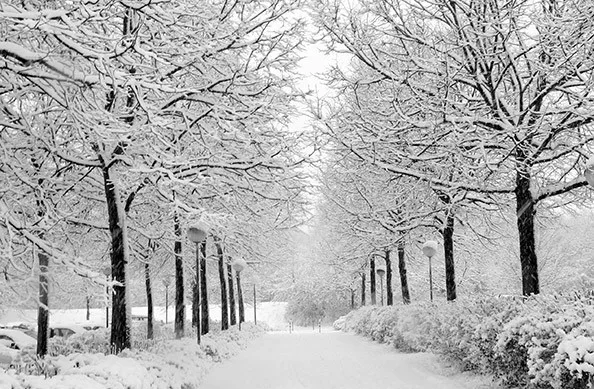  НОВА ГОЛЕМА ПРОГНОЗА ЗА ЗИМАТА: Што и носи Ел Нињо Европа