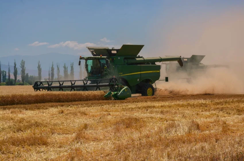 Џабе НАТО ќе не брани ако нема кој да не храни! Како производството на храна се намали за 50 отсто?