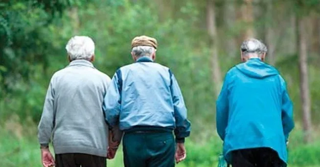  РАБОТАТ И НА СТАРИ ГОДИНИ, ЕВЕ КОЈ ИМ Е МОТИВОТ: Повеќе од 30 илјади Хрвати над 65 години и натаму се ангажирани