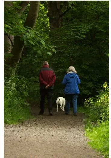  НЕ МОЖЕ ДА ДОБИЕТЕ ПОМАЛКУ ОД ОВАА СУМА: Ова е најниската пензија што можете да ја добиете во Германија