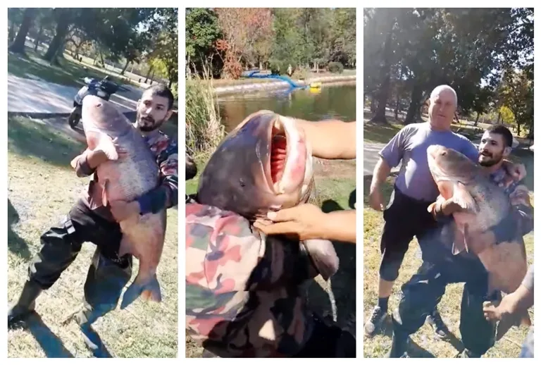  ВИДЕО Погледнете колкаво чудовиште од риба извади од езерцето во Градски Парк во Скопје
