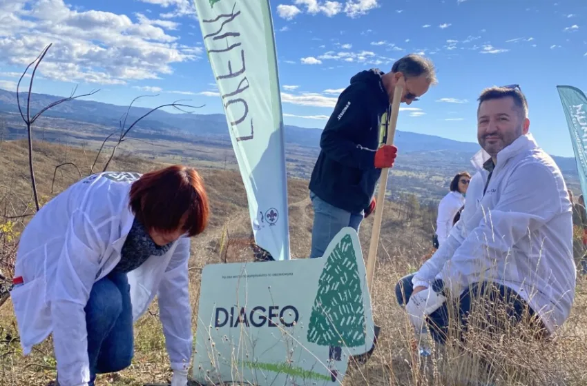  Со засадување на 2000 садници во Берово, Diageo и нивниот локален групацијата Малиќи имаат позитивно влијание врз локалната заедница и животната средина