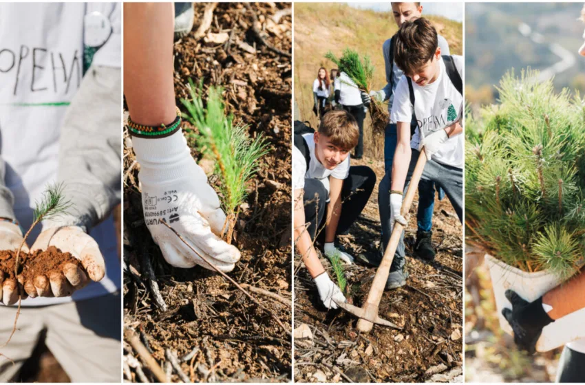  Заедно со 100 волонтери компанијата Diageo ќе засади 2000 дрвца во Беровско во најголемата активност за пошумување на опожарените површини