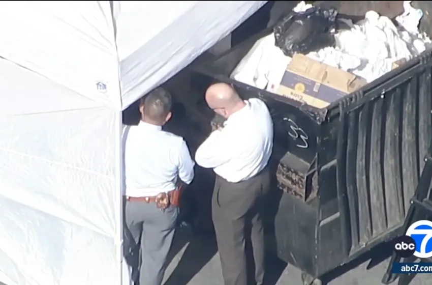 Притворен син на холивудски агент откако женско торзо било пронајдено во контејнер