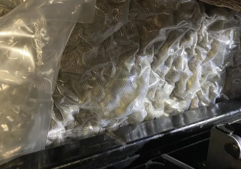  Од фабрика за марихуана за медицински цели украдени над 550 килограми марихуана