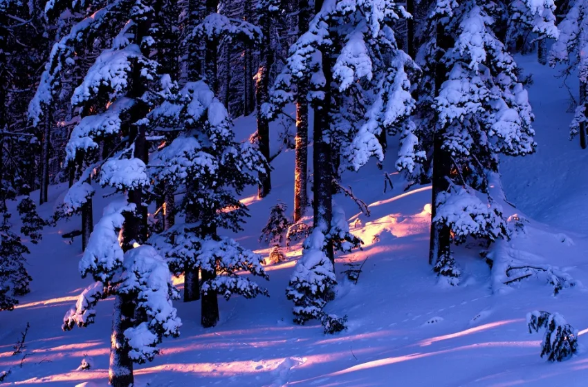 ЦУК: Најден починат повозрасен планинар на Пелистер