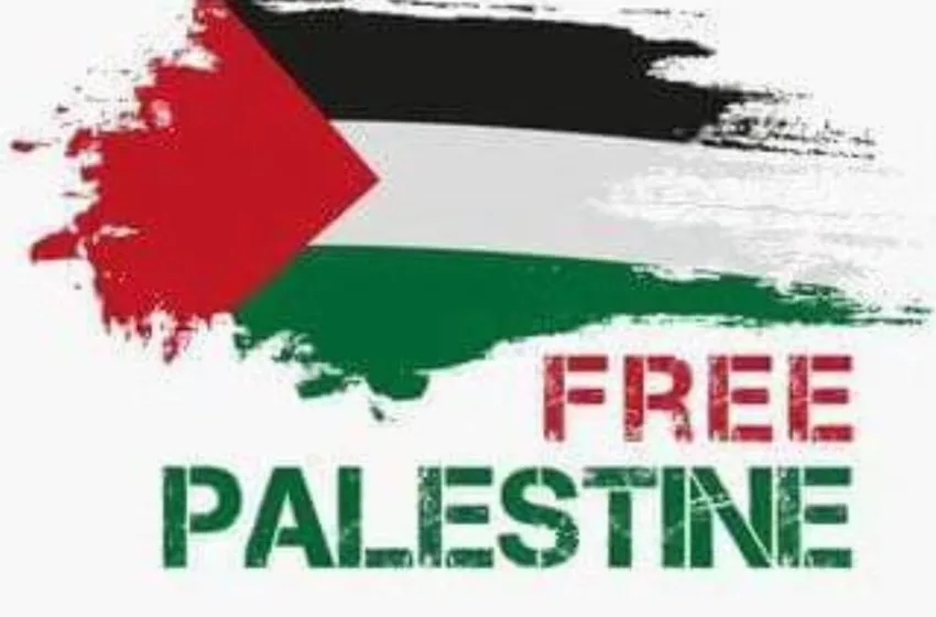 Протест пред Владата во знак на солидарност со народот на Палестина од окупацијата на Израел