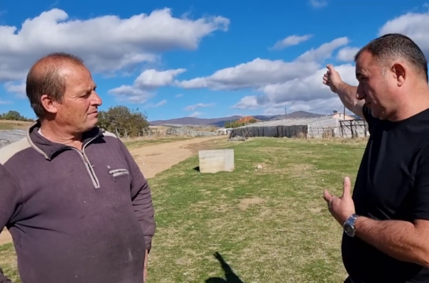 ВИДЕО Стојанче Ангелов ги праша жителите околу Плачковица: Дали ќе ви смета ако ви ги донесеме мечките од Маврово-Ростуше?