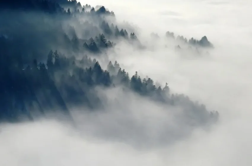 Утрово магла, во текот на денот ветер и температури од -1 до 14 степени