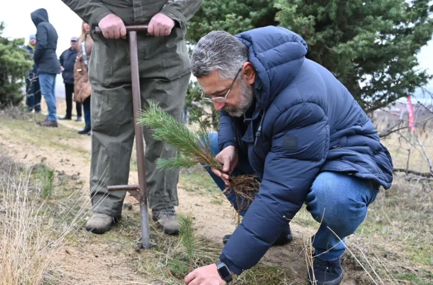 СДСМ засадија дрвца – успешно спроведена акцијата за пошумување во Ресенско