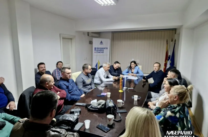  ЛДП: Врвен приоритет останува брзото присоединување кон ЕУ