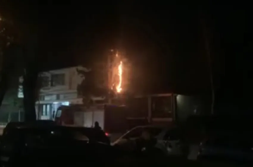  ВИДЕО: Деца го запалија дрвото пред Музеј на тетовски крај (Дом АРМ) во Тетово