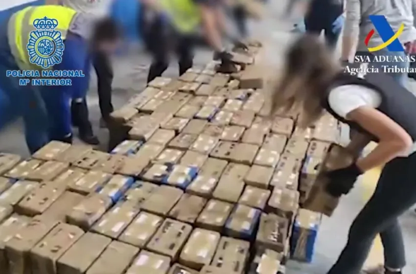  ВИДЕО Балканскиот картел остана без 11 тони кокаин: Им ја открија дрогата во конзерви туна!