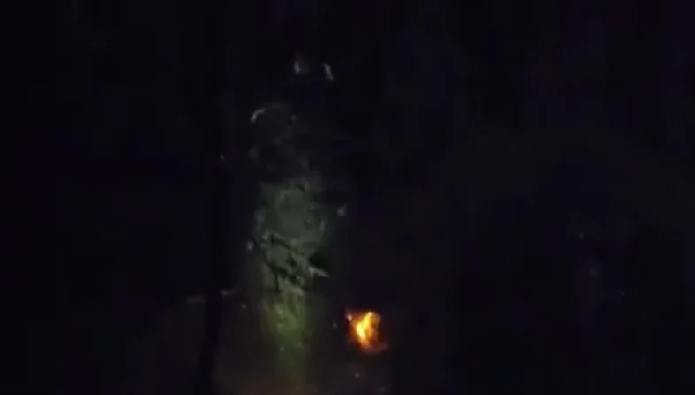 ВИДЕО Пилотот и фотограф загинаа во хеликоптерска несреќа во САД