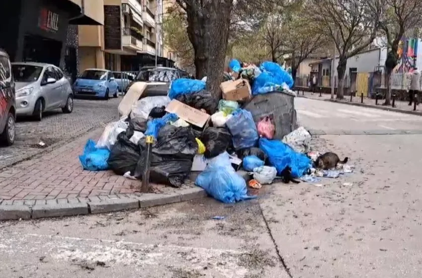  УЖАС: Ѓубре низ улиците на Тетово, создадени депонии!