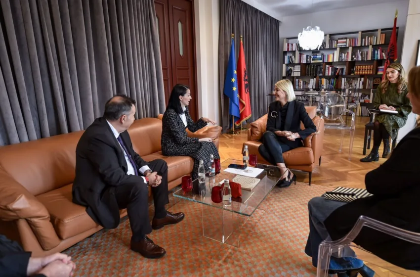  Костадиновска-Стојчевска на средба со Маргарити: Ја продолжуваме соработката со Албанија во борбата против трговијата со артефакти