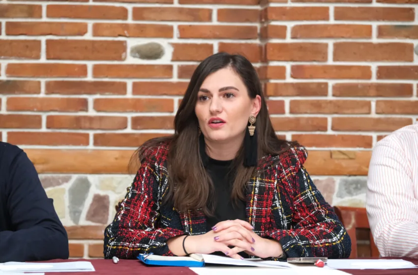  ЛДП на изборите ќе настапи како дел од коалиција која ќе ја однесе Македонија во Европа