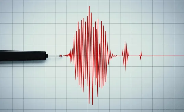 Бројот на загинатите во земјотресот што ја потресе Јапонија на првиот ден од новата година достигна 100