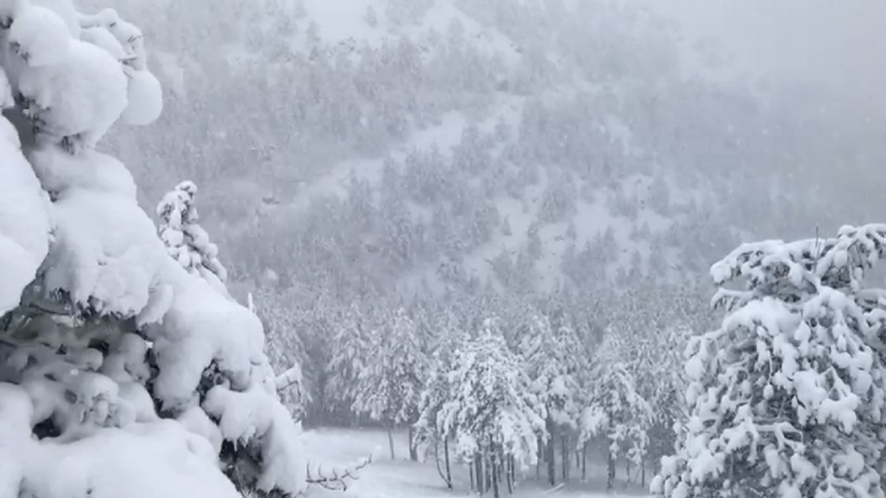  Спасителна акција утрово на Галичица, се заглавиле во снег