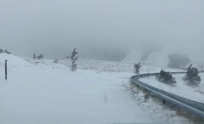  Заглавиле во автомобил на врвот на Галичица, спасувачката акција траела три часа
