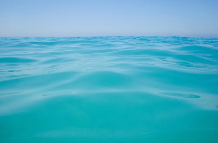  Пронајдени остатоци од авион на Амелија Ерхарт во Тихиот Океан?