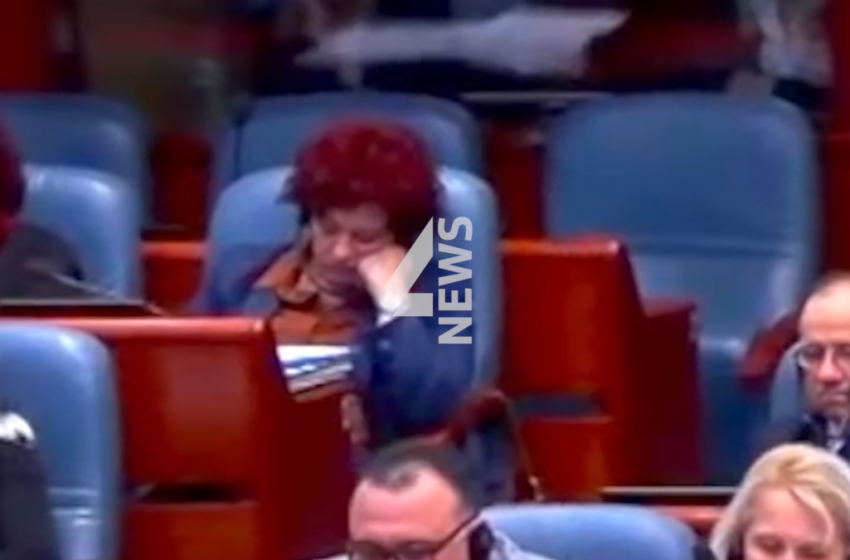  ВИДЕО: Попладневна дремка во Собрание