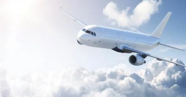  Отворил врата од авион и одел по крилото – Полицијата го уапсила, патниците го бранат