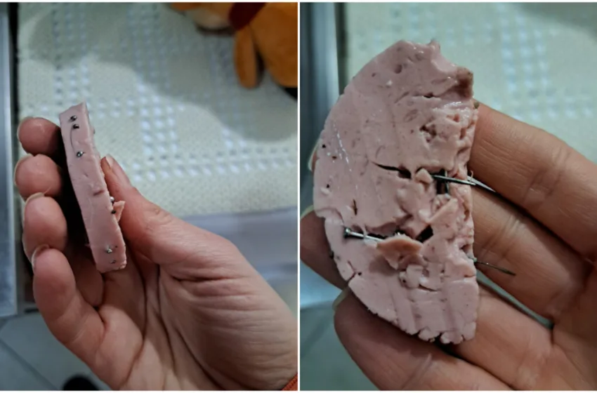  ФОТО Внимавајте при прошетка со вашите миленици низ Ѓорче: „Монструми шетаат меѓу нас“