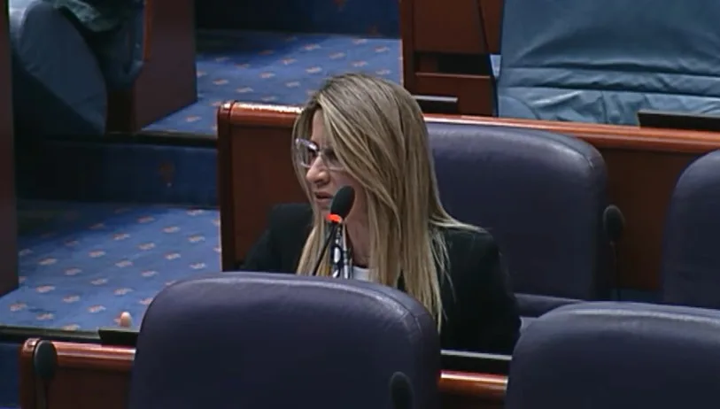 Дамева се враќа, прифатено барањето за оставка на претседателот Сашко Георгиев