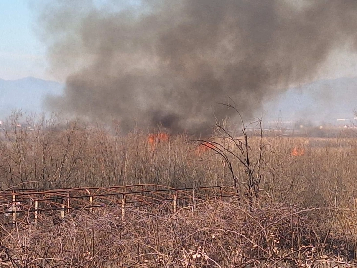  Струмичките пожарникари гаснеле пожар во Моноспитовското блато