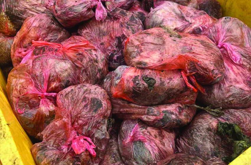  ФОТО: Спречен шверц на 4,4 тони месо од дивеч ризичен по здравјето на граѓаните