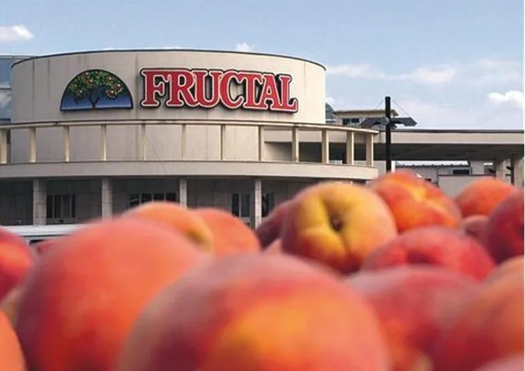  И СТРАНЦИТЕ, АМА И МАКЕДОНЦИТЕ ЛАНИ ПИЕЛЕ ПОМАЛКУ ОД ПРИРОДНИТЕ ОВОШНИ СОКОВИ – еве зошто се намали добивката на скопски „Фруктал“