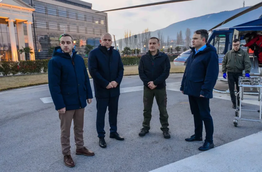 Две недели откако се сликаа и испратија со хеликоптер, ФЗО даде негативно мислење за лекување на Леонид во Виена