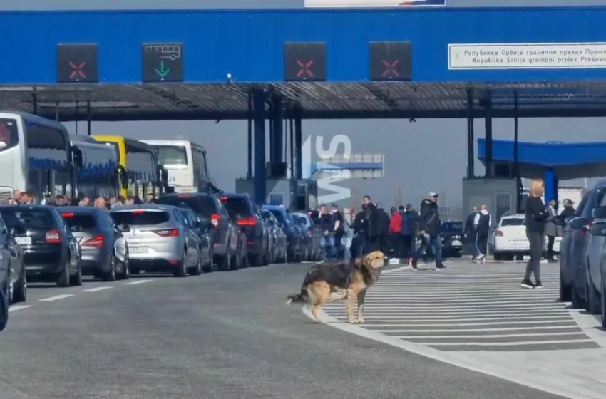 ВИДЕО Хаос на Табановце, за излез од Македонија се чека до еден час