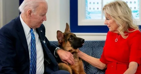 Кучето на Бајден најмалку 24 пати каснало членови на Тајната служба