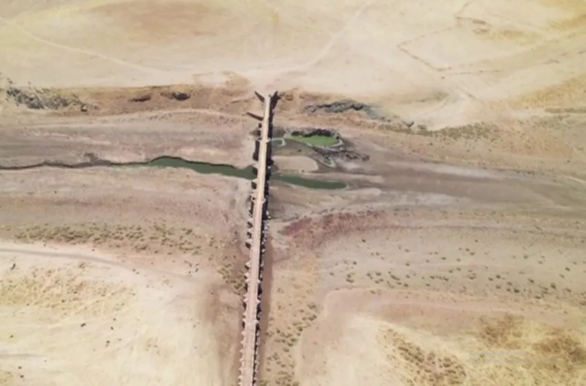 Замбија ја прогласи сушата за национална катастрофа