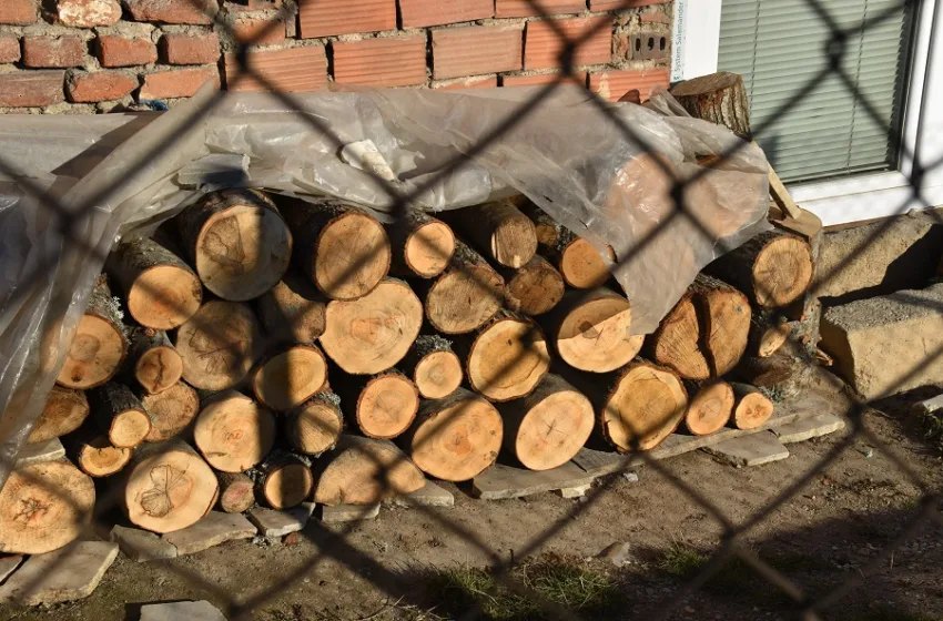  Дрвокрадец фатен на дело во скопско Орман