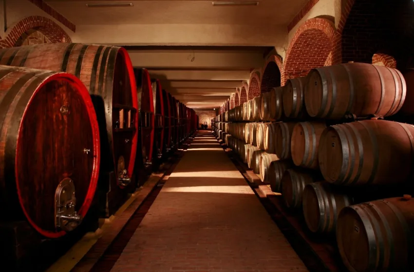  ВОНРЕДНО СОБРАНИЕ НА „ТИКВЕШ“, ЌЕ СЕ ГЛАСА ЗА ДОГОВОР ЗА КРЕДИТ ОД НАД 12 МИЛИОНИ ЕВРА – еве зошто се потребни средствата