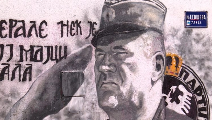 ЌЕ ОДИ ВО ЗАТВОР: Српска активистка го гаѓала муралот на Ратко Младиќ