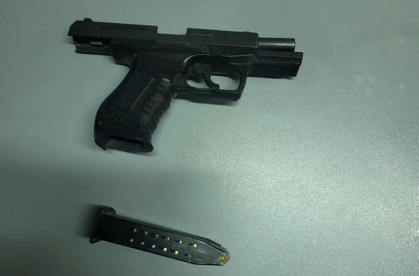 Малолетник со пиштол пукал во скопски парк