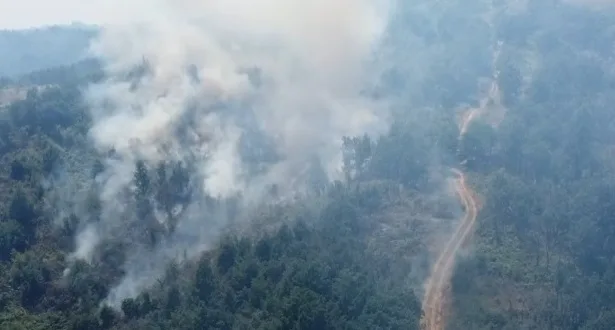  Голем пожар над тетовско Вешала, се бара воздушна поддршка