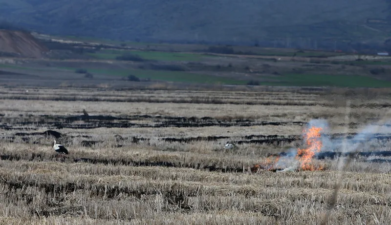 Загина 63-годишен прилепчанец при палење стрниште