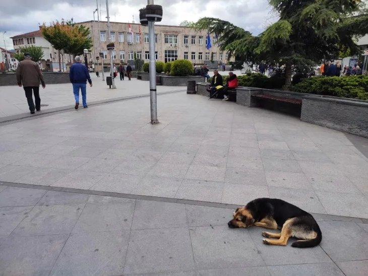  Кавадарци: Љубовникот на мајката ја обљубил нејзината малолета ќерка