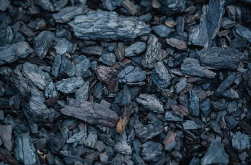  „Резултатите требаше да бидат подобри“ – зголемен е бројот на термоелектрани на јаглен во светот