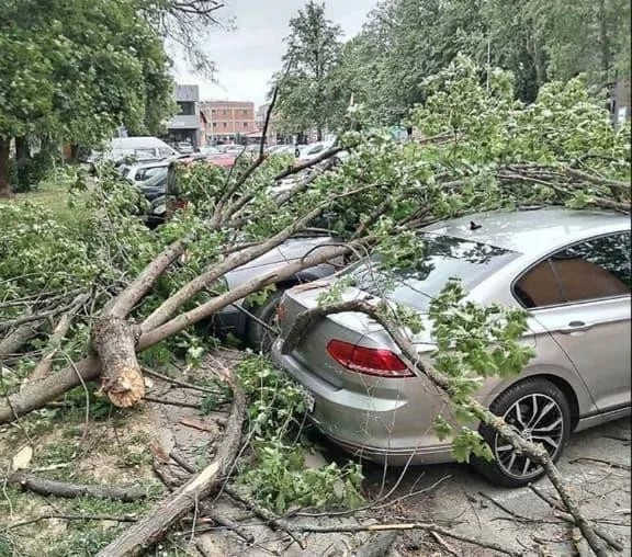  (ФОТО) НЕВРЕМЕ ВО ХРВАТСКА: Ветерот собори гранки, на планините има снег