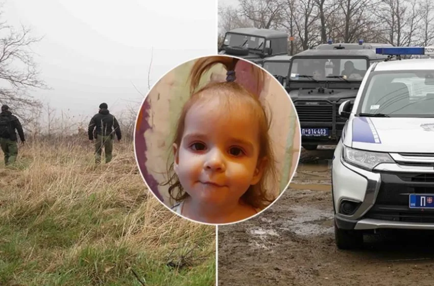 „Раководителот на УКП Нинослав Чмолиќ виновен за давање информации во случајот со малолетната Данка Илиќ“