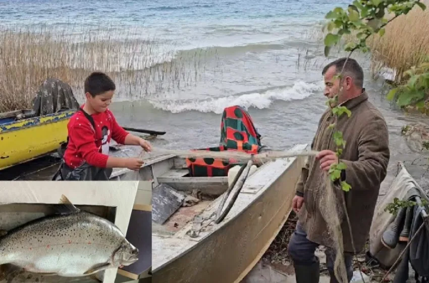  ВИДЕО Рибар на Охридското Езеро улови коран тежок 13,2 килограми