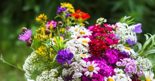  Денеска е Цветници: Се прославува влегувањето на Исус Христос во Ерусалим