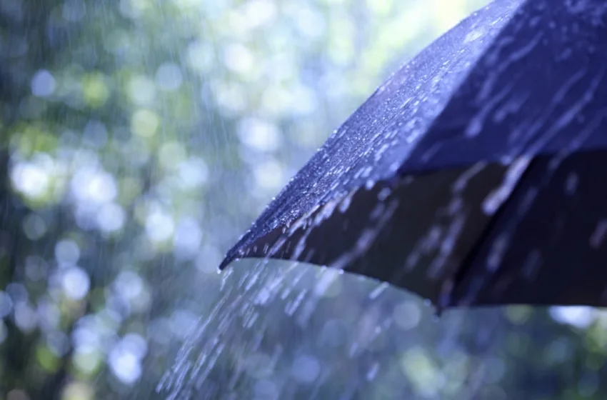  Не стојте под осамени дрвја, УХМР најавува нестабилно време со пороен дожд, грмежи и град