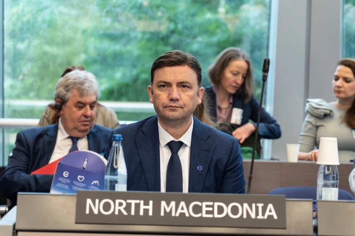  Османи во Стразбур: Мултилатерализмот останува единствен ефикасен одговор кон предизвиците